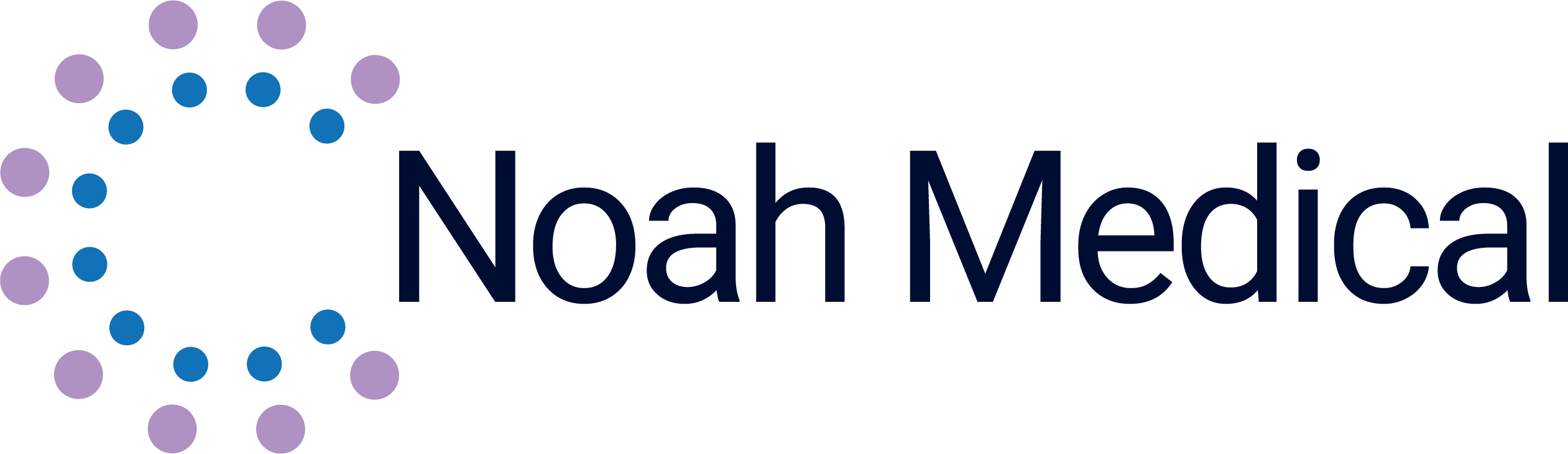 Noah Medical Logo