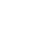 Selini Capital Logo