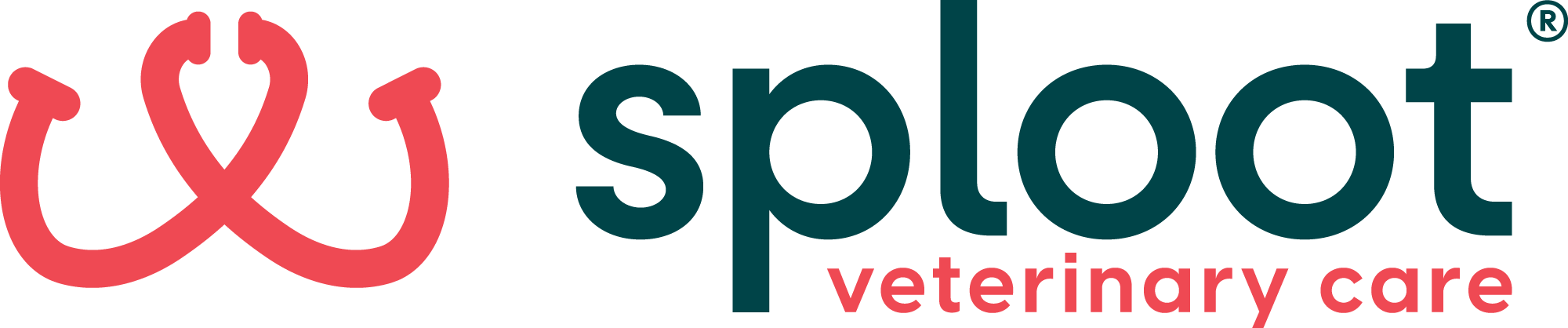 Sploot Veterinary Care Logo