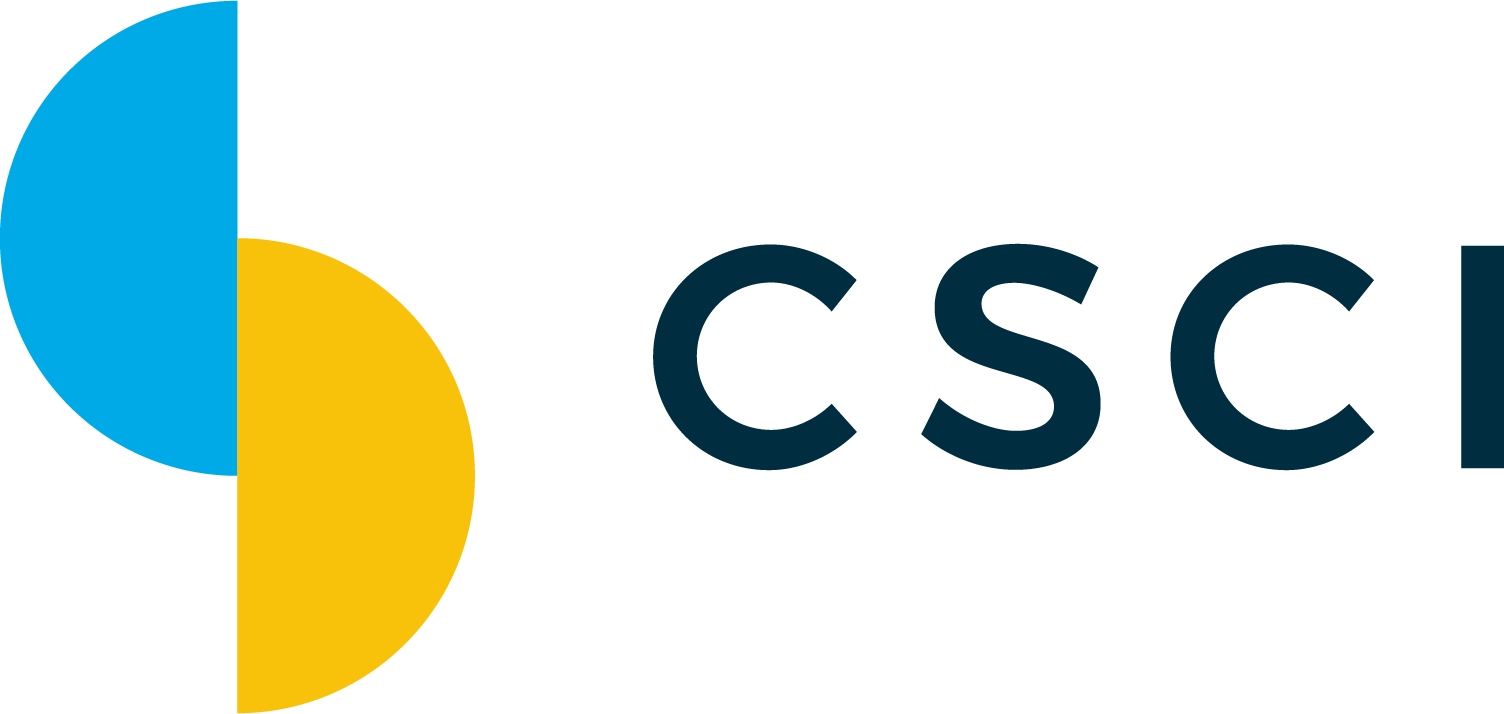 CSCI Consulting Logo