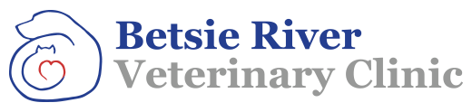 Betsie River  Logo