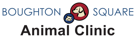 Boughton Square Animal Clinic  Logo