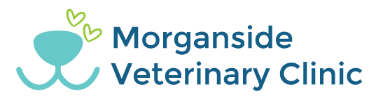 Morganside Veterinary Clinic  Logo