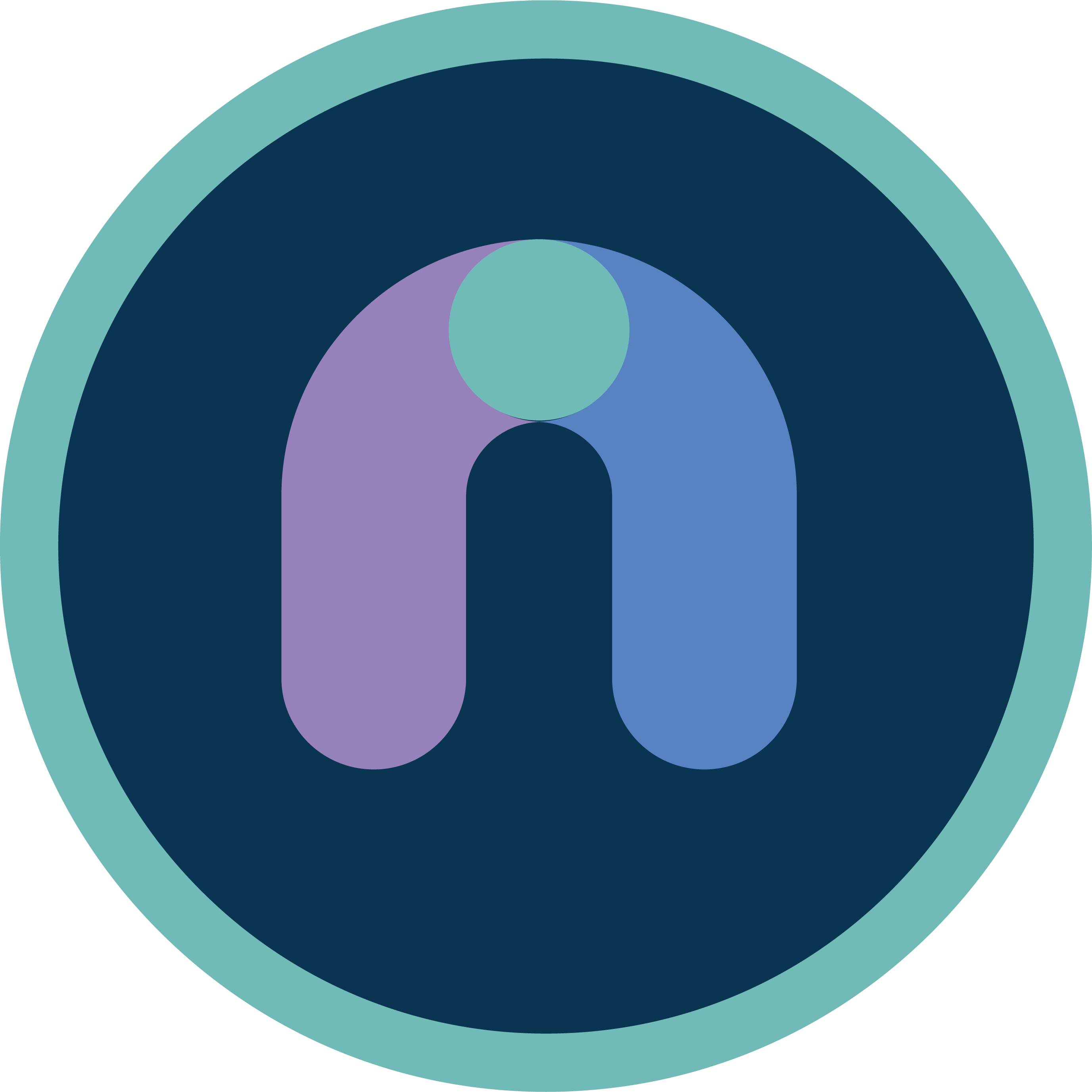 Nasium Training Logo