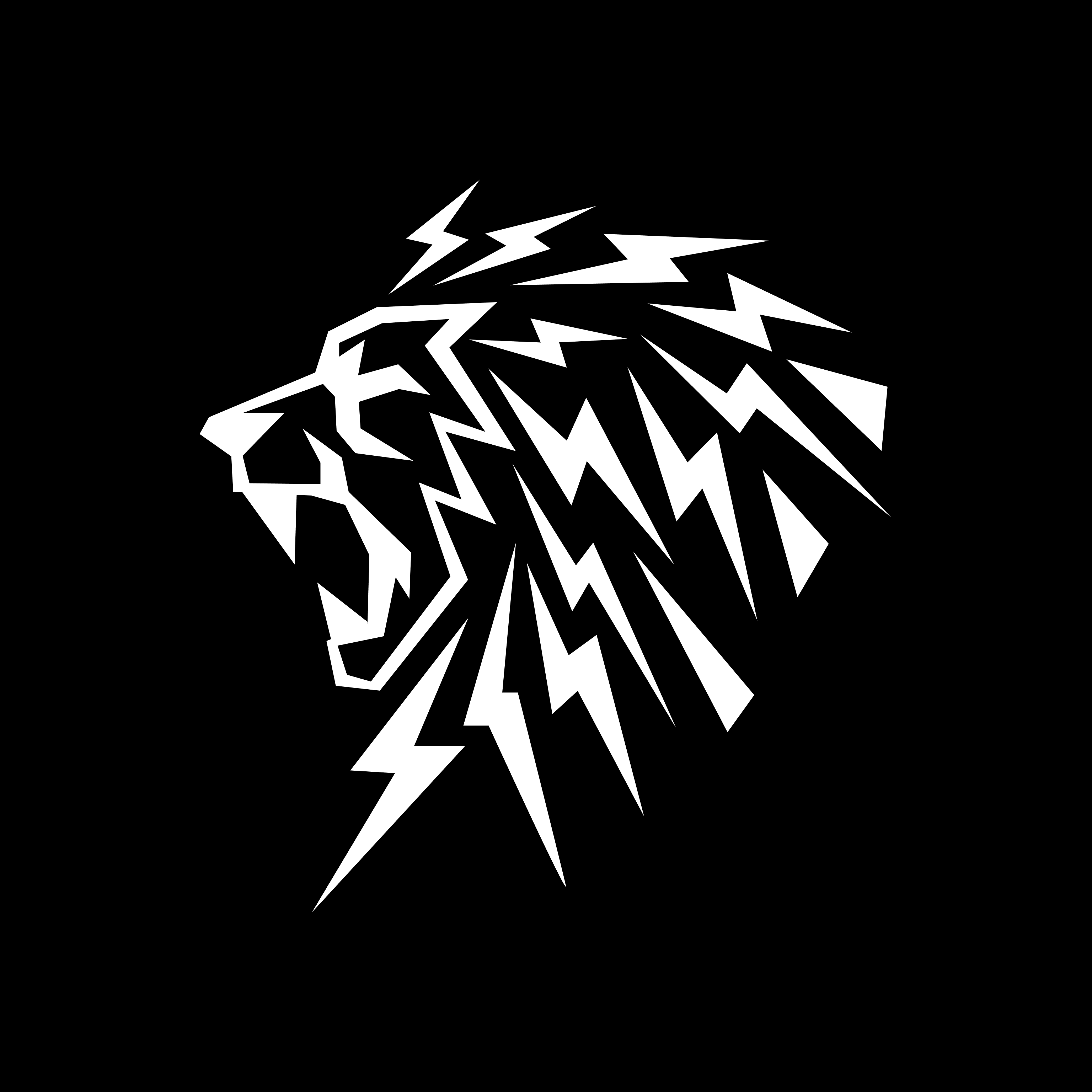 Ferocia Pty Ltd Logo